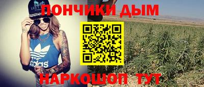 эйфоретик Можга