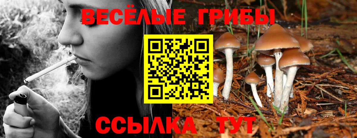 Галлюциногенные грибы мухоморы  купить   Ялуторовск  Вход с VPN 